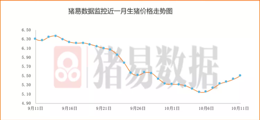 猪企亏损、养殖户悲观 猪肉供大于求趋势短期难以扭转