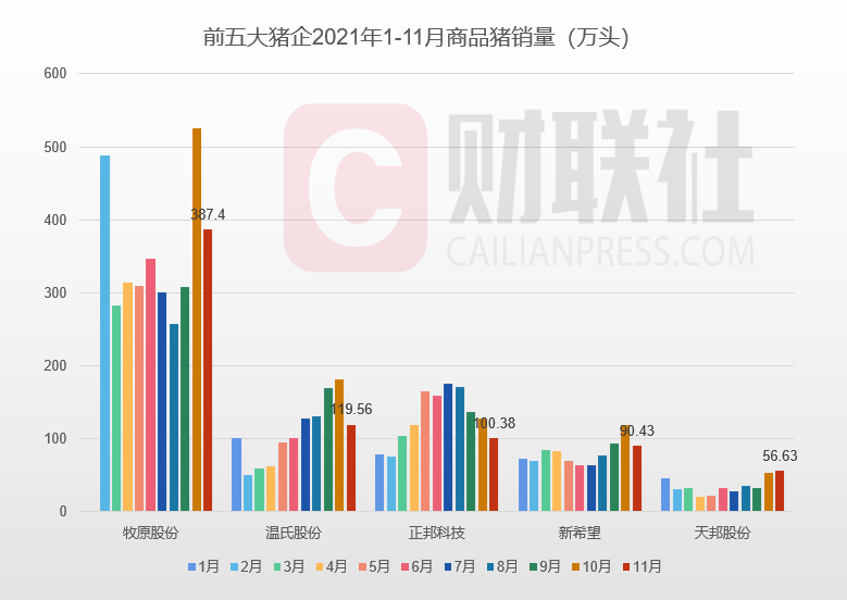 11月上市猪企价升量减 “节日坑”隐现猪价颓势难挽