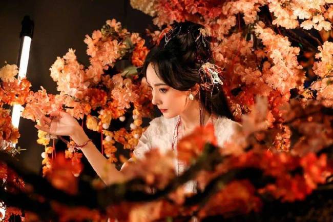 妖艳！35岁杨幂身穿红色薄纱扮性感妖狐