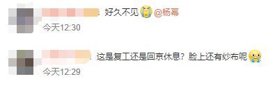 杨幂受伤后首次露面 眼部敷纱布戴着墨镜遮住伤处