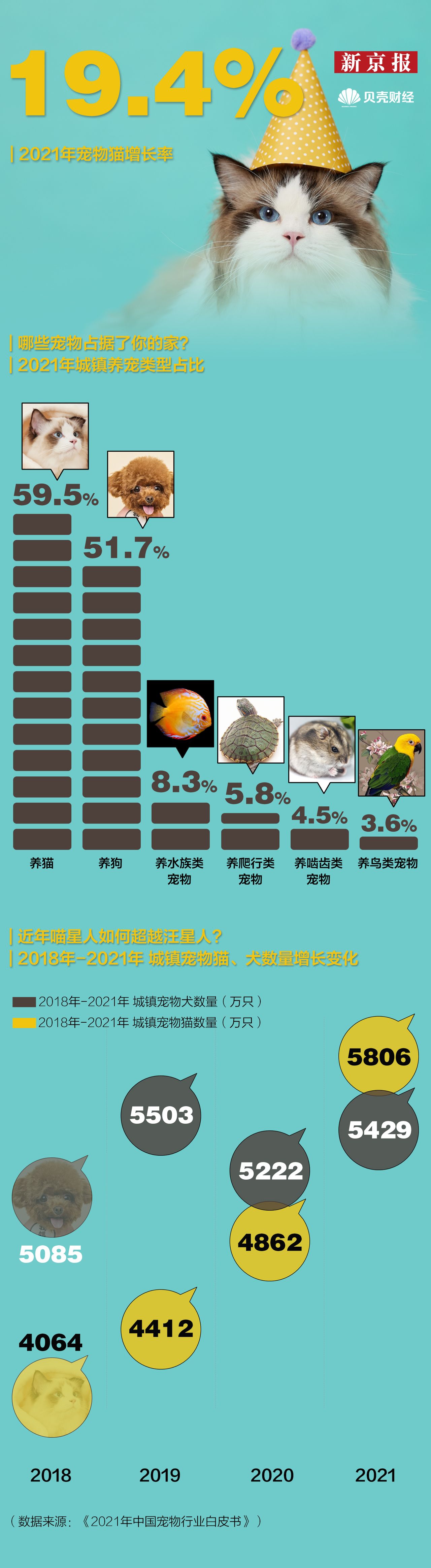 它经济火热，3000万猫咪“铲屎官”养出千亿市场