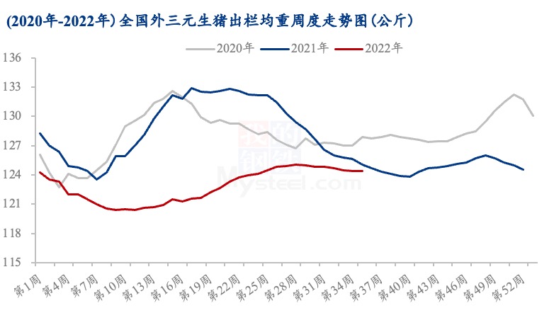 8月“猪茅”日赚一亿？供需改善猪企Q3利润复苏