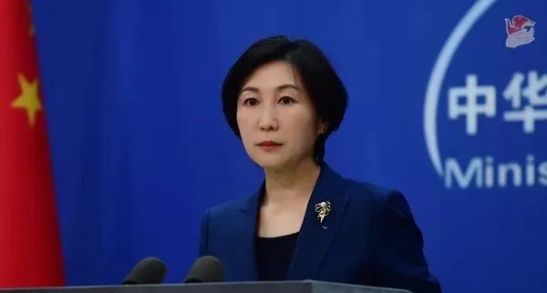 毛宁资料图。图源:外交部网站