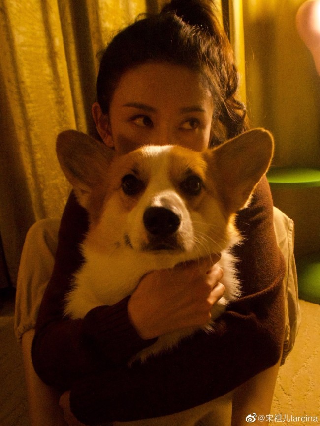 宋祖儿和爱犬合影 扎高马尾灿笑表情可爱