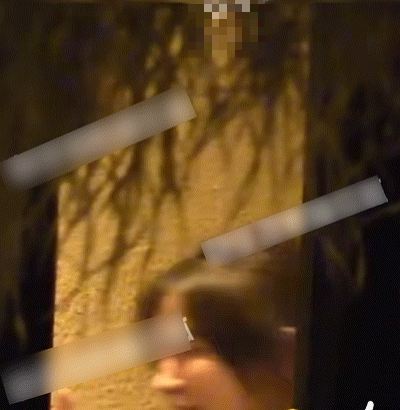 MTVideo
