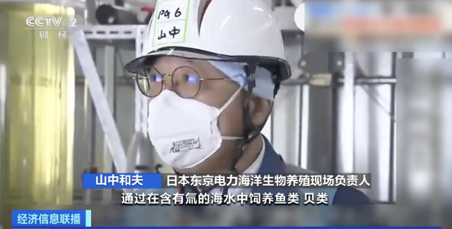 直播核污染水养鱼?日本为排污找噱头反被专家驳斥