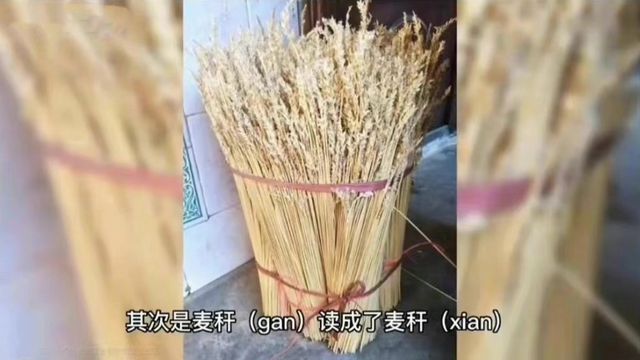 《陪你多读书》就黄多多读错字道歉 人设崩塌？