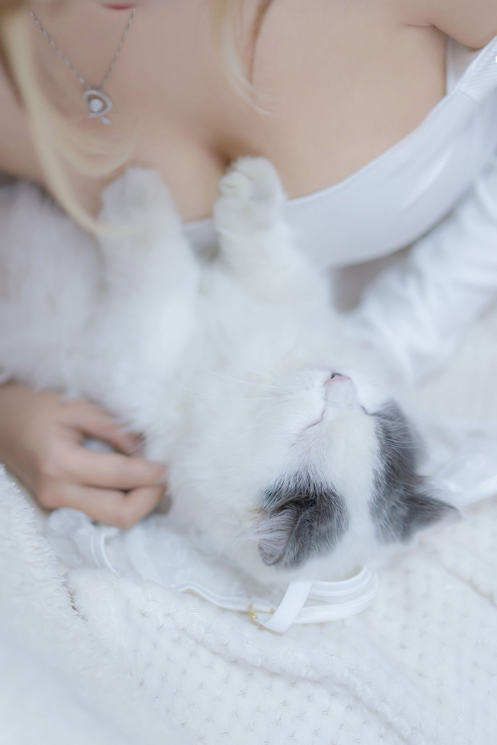 斗鱼米线线sama一只性福的猫猫