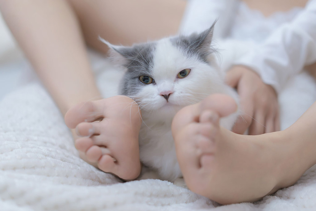 斗鱼米线线sama一只性福的猫猫