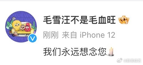 毛雪汪发文悼念李玟