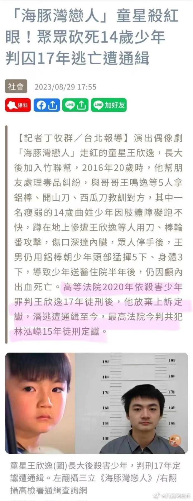 海豚湾恋人童星王欣逸杀人潜逃被判刑 通缉照曝光