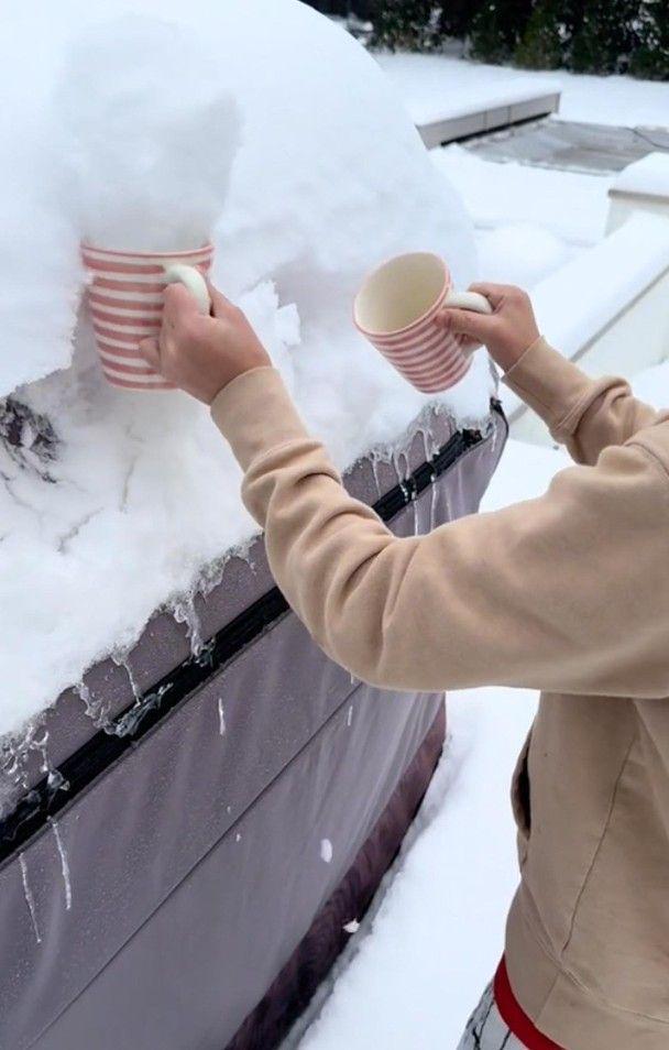 奥斯卡影后教人用积雪做甜品遭网暴