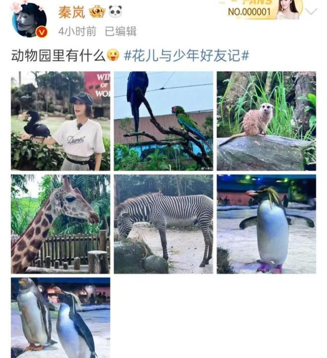 秦岚魏大勋疑分手 传男方向女方求婚遭拒 杨幂躺枪