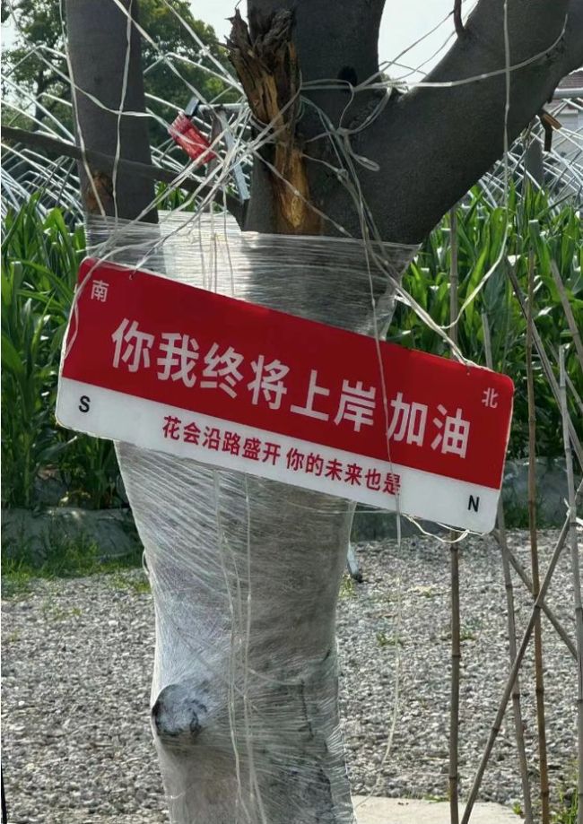 林更新考博成功 赵丽颖疑隔空送祝福