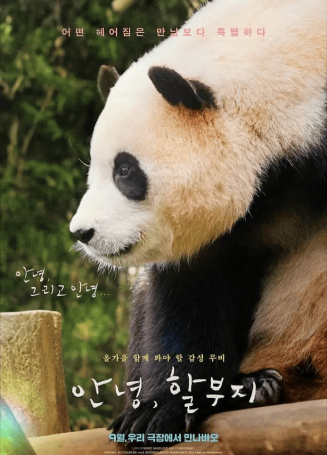 韩国拍的福宝电影定档9月4日 官方公开宣传海报
