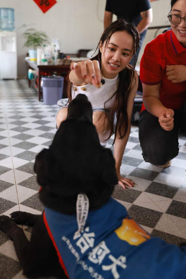 蔡依林走进西安导盲犬中心 体验跟随导盲犬出行
