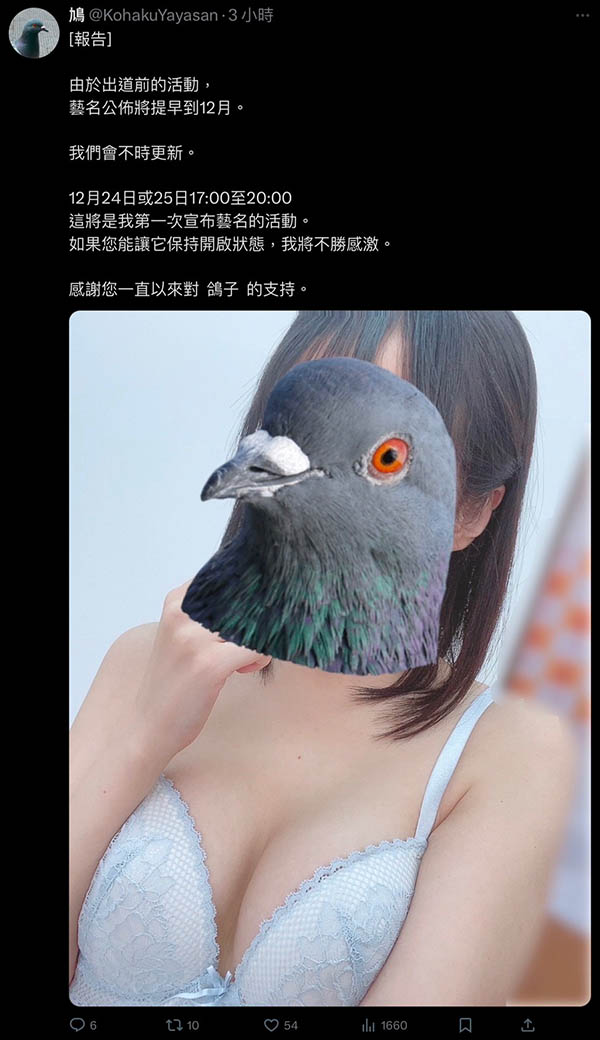 经纪公司ACT的顶级新秀！这只鸽子有大事宣布！