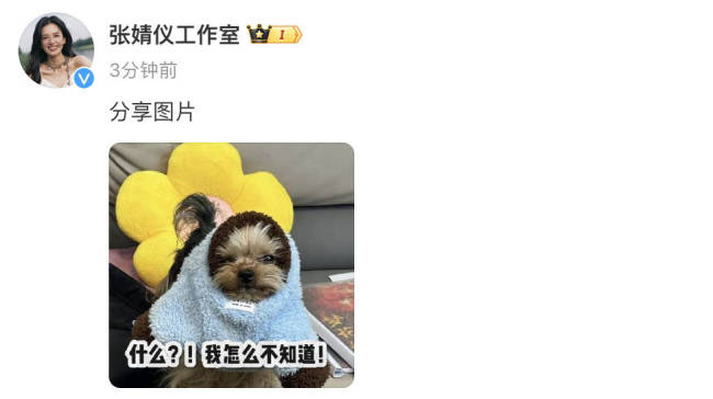 网传陈飞宇张婧仪将二搭？双方发文否认：假的哈