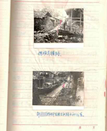 男子为棵板栗树行凶后人间蒸发,警方开棺验尸破获41年前命案……
