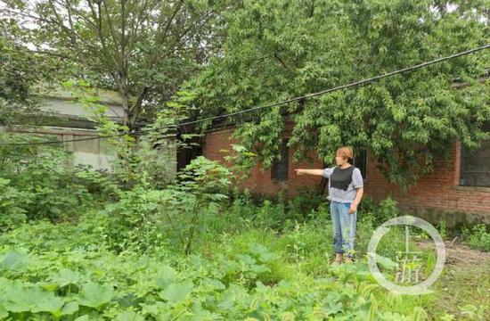 ▲安徽省阜阳市江店孜镇,如今,当年的案发现场已面目全非,杨中芬还是会经常去看看。受访者供图