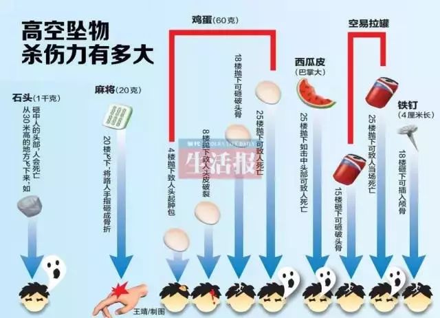 遛狗老人被高空坠猫砸晕 金毛直接拦下“肇事”猫
