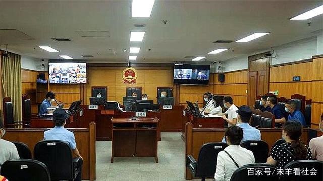 “他不帮我过马路我能摔倒吗”89岁老太太向11岁男孩索赔17万