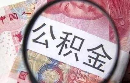 公司缴纳的公积金可以提取吗?提取公积金需要哪些手续?