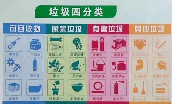 生活垃圾分类制度将入法 违法单位可罚款5万~50万元