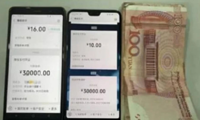流浪狗撞伤老人投喂者赔4万?法院回应了!