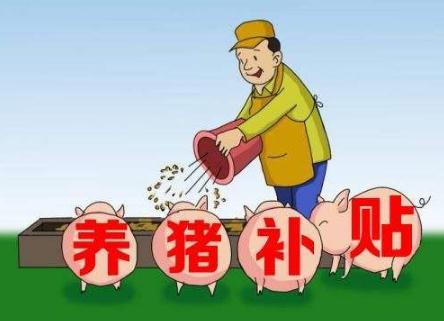 【养猪补贴新政策】2020年国家最新养猪政策