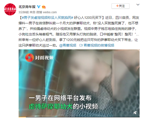 男子发虐宠视频称没人买就掐死 虐待动物构成犯罪吗?