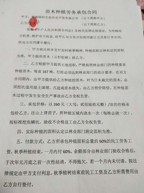 青海植树造林"骗局"?包工头植树1.5万亩 亏了800万元