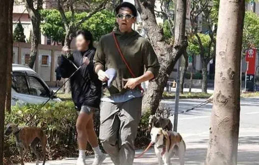 经纪人否认彭于晏新恋情：只是帮忙遛狗的朋友