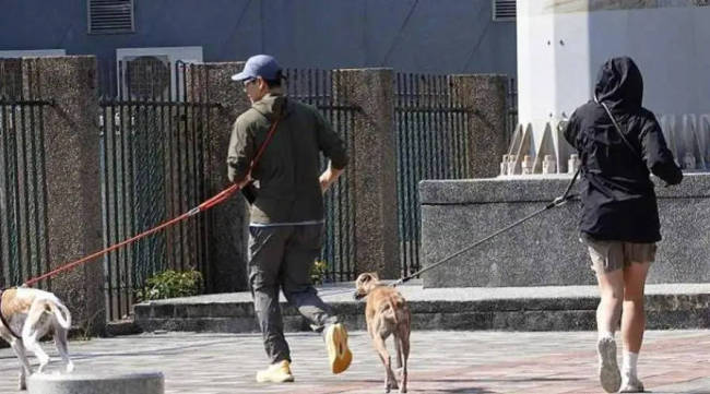 经纪人否认彭于晏新恋情：只是帮忙遛狗的朋友